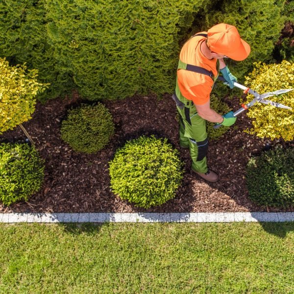 professional-gardener-at-work.jpg